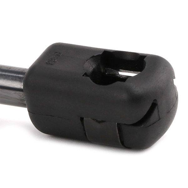 Gas Spring, boot/cargo area