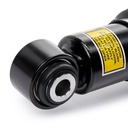 Air Suspension Strut