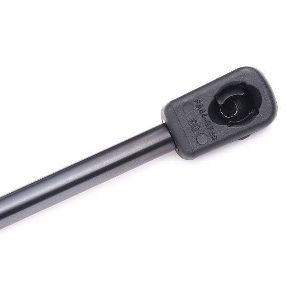 Gas Spring, boot/cargo area