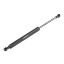 Gas Spring, bonnet