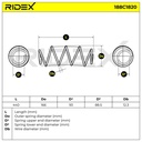 Suspension Spring