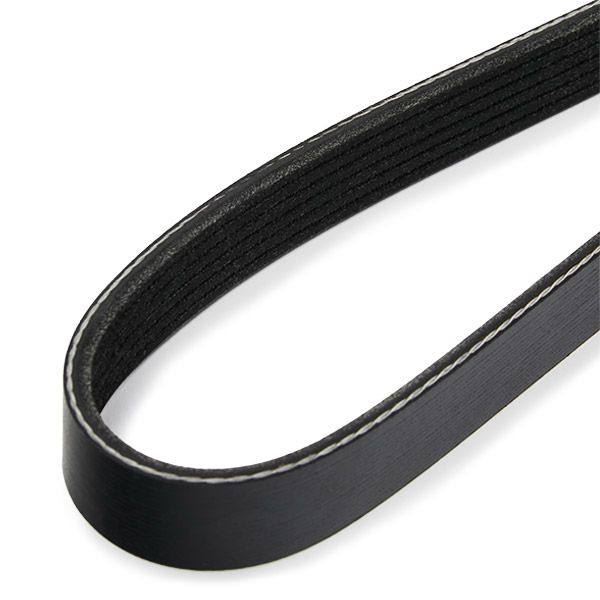 V-ribbed Belt
