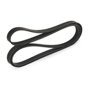 V-ribbed Belt