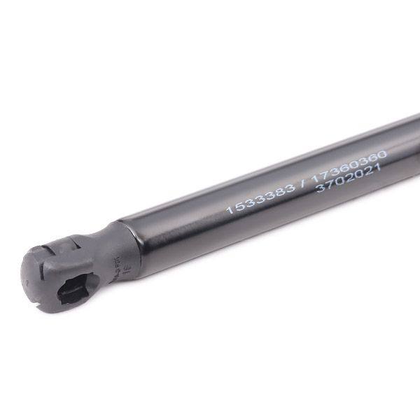 Gas Spring, boot/cargo area