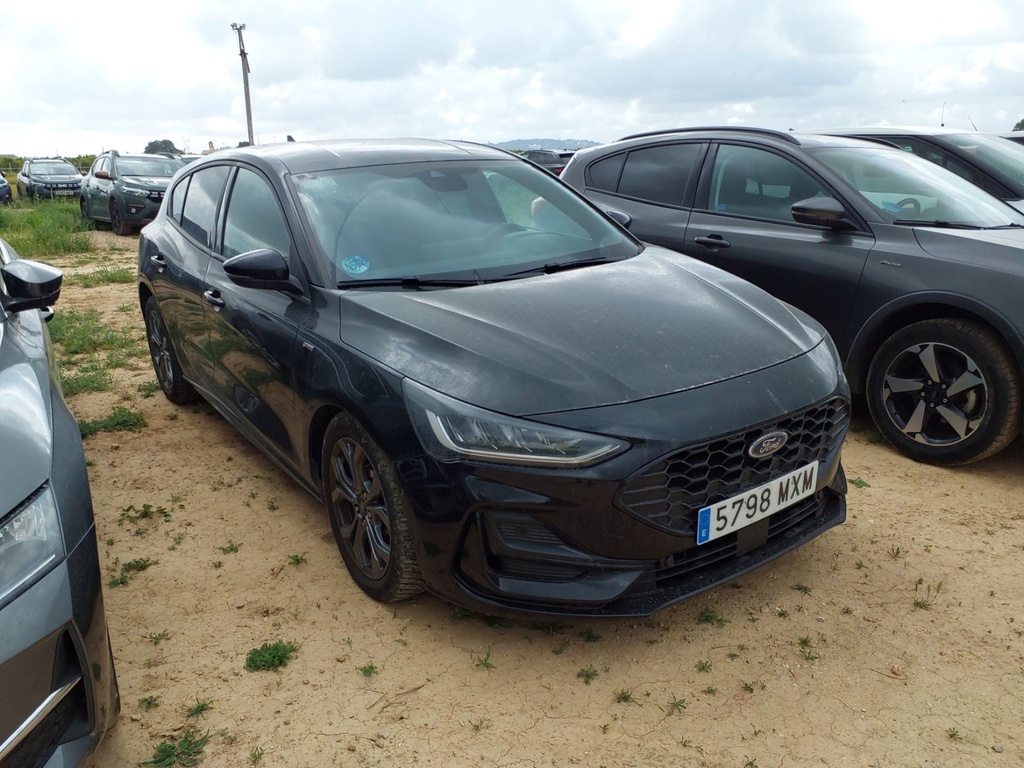 FORD Focus Automatic (2024)