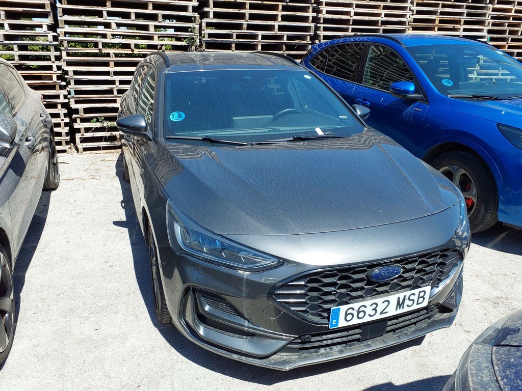 FORD Focus Automatic (2024)