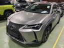 LEXUS UX 1987.0 cc (2024)