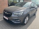 OPEL Grandland X 1199 cc Automatic (2019)