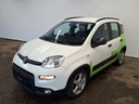 FIAT Panda 999.0 cc Manual (2021)