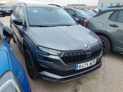 SKODA Karoq Automatic (2025)