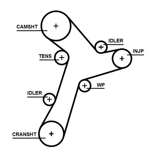 [SUPP-33-5695XS] Timing Belt