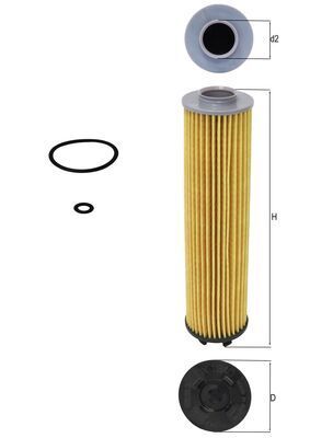 Oil Filter