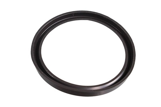 Seal Ring, charger