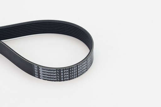 [SUPP-31-8PK1122EXTRA] V-ribbed Belt