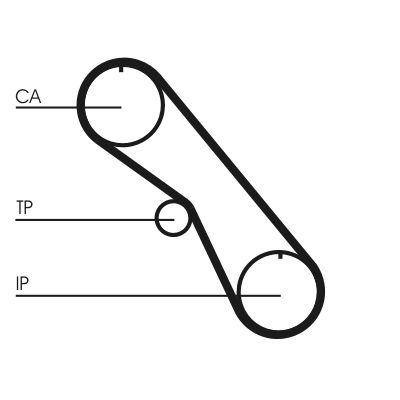 Timing Belt Kit