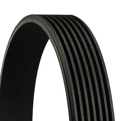 [SUPP-31-7PK1240] V-ribbed Belt