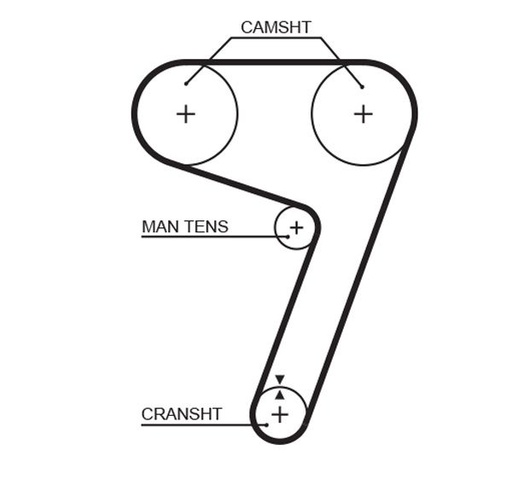 Timing Belt