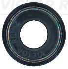 Seal Ring, valve stem