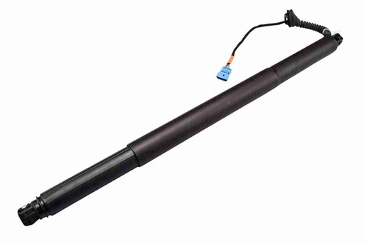 Electric Motor, tailgate