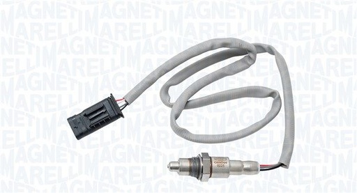 Oxygen Sensor
