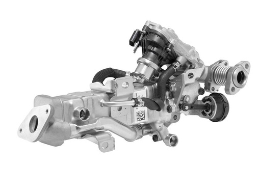 [SUPP-177-A100126] EGR Module