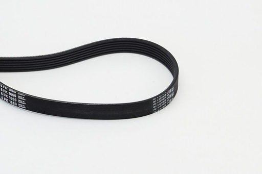 [SUPP-31-6PK1660] V-ribbed Belt
