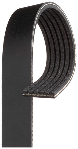 [SUPP-33-6PK1660] V-ribbed Belt