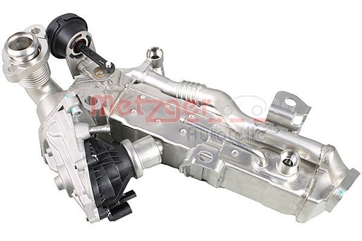 EGR Module