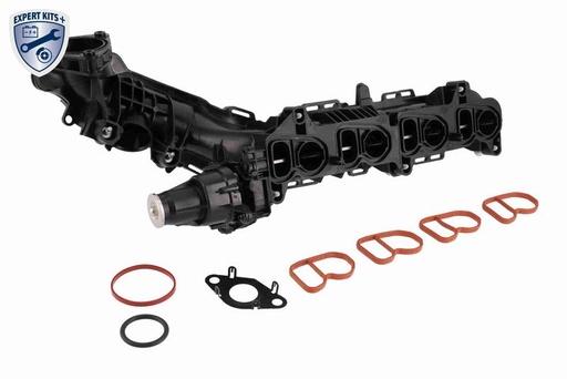 Intake Manifold Module