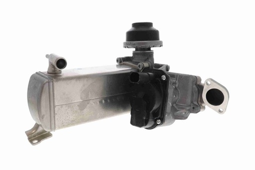 EGR Module