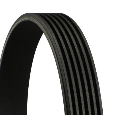 [SUPP-31-6PK2330] V-ribbed Belt