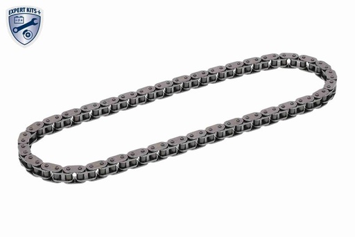 Timing Chain