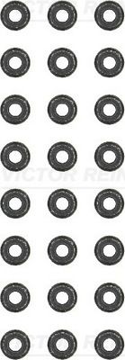 Seal Set, valve stem