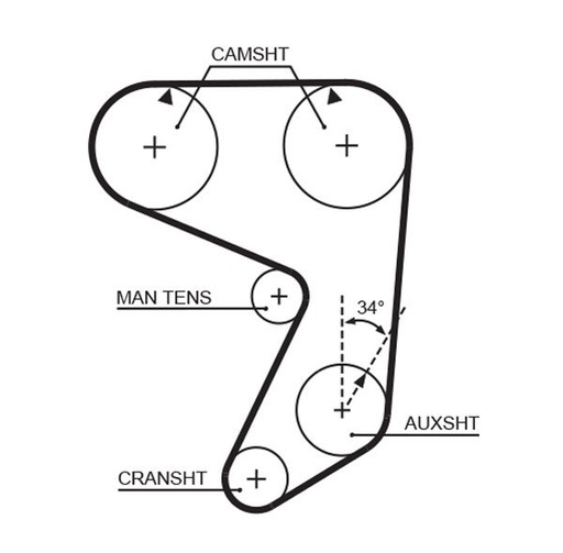Timing Belt