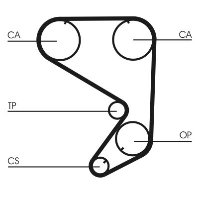 Timing Belt