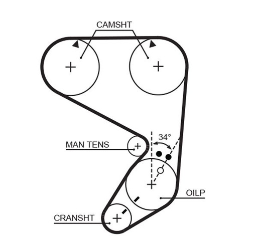 Timing Belt