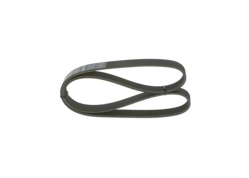 V-ribbed Belt