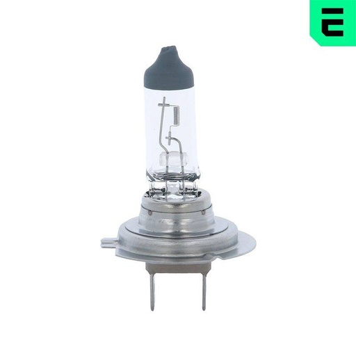 Bulb, front fog light