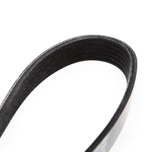 [SUPP-6358-305P0054] V-ribbed Belt
