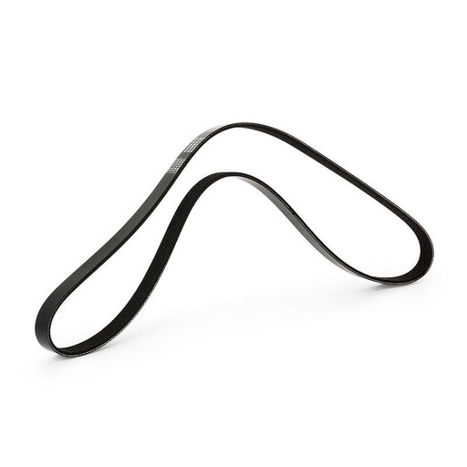 [SUPP-6358-305P0061] V-ribbed Belt