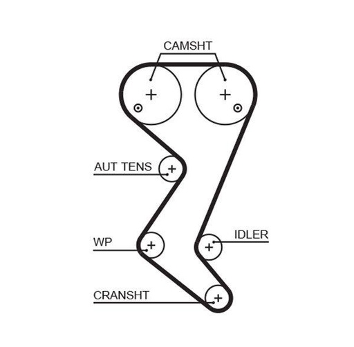 Timing Belt