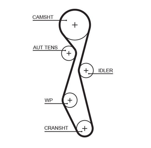 Timing Belt