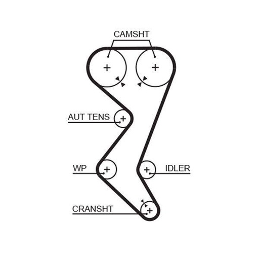 Timing Belt