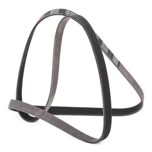 [SUPP-6358-305P0208P] V-ribbed Belt