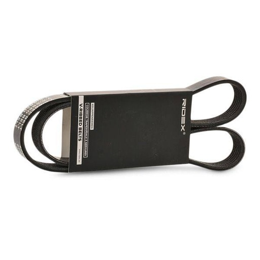 [SUPP-6358-305P0059] V-ribbed Belt