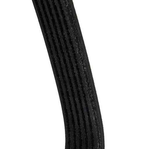 [SUPP-6358-305P0071P] V-ribbed Belt