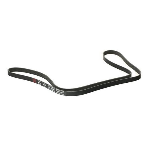 [SUPP-6358-305P0233] V-ribbed Belt