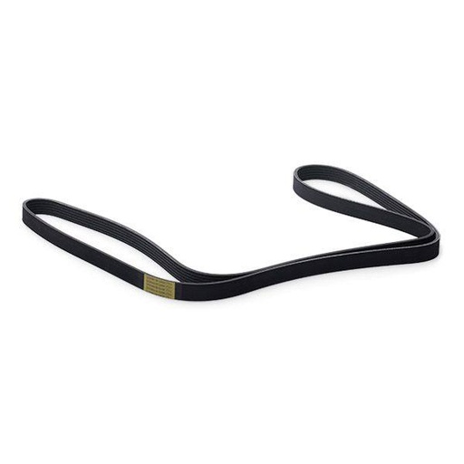 [SUPP-6358-305P0096] V-ribbed Belt