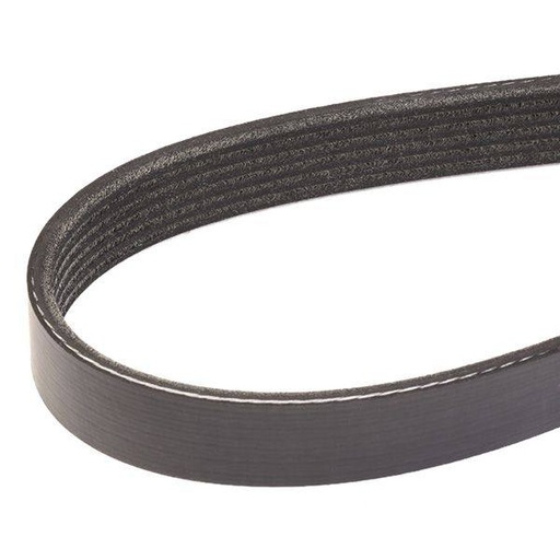 [SUPP-6358-305P0074] V-ribbed Belt