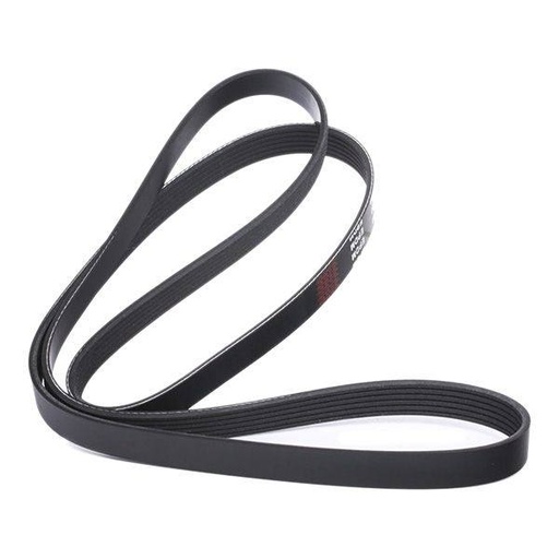 [SUPP-6358-305P0083] V-ribbed Belt